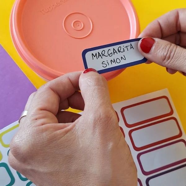 Etiquetas impermeables para rotular objetos multicolor - para escribir con marcador indeleble - Imagen 2